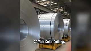 Dayanıklı Alüminyum Tavan Levhaları 30 Yıllık Renk