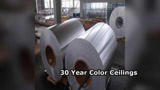 Dayanıklı Alüminyum Tavan Levhaları 30 Yıllık Renk